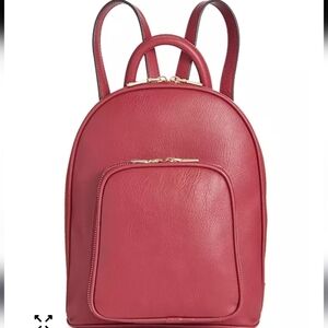 NWOT INC International Concepts Red and Gray Accessory